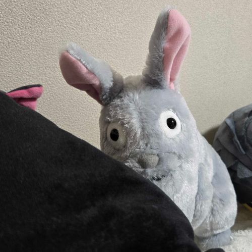 近くまで来てくれた

おやつ食べたいのかな