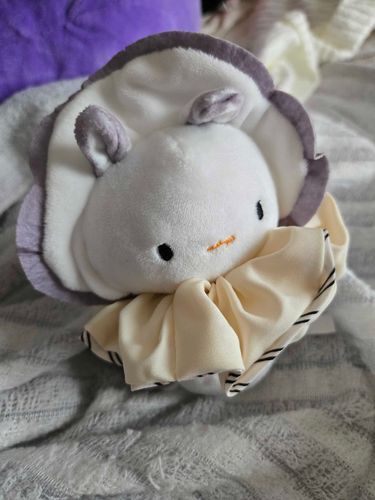 カキウミウシちゃん