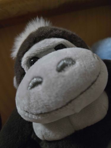 ごり美〜🥲‎
お金ないのにまたお金使っちゃったよ〜😭

🦍｢そうウホか…でも、これを機にしばらく貯金頑張るって言ってたウホ、いいタイミングなんじゃないウホ？｣

うぅ…あ、ありがとうごり美…🥲‎
私、貯金頑張るよ…！