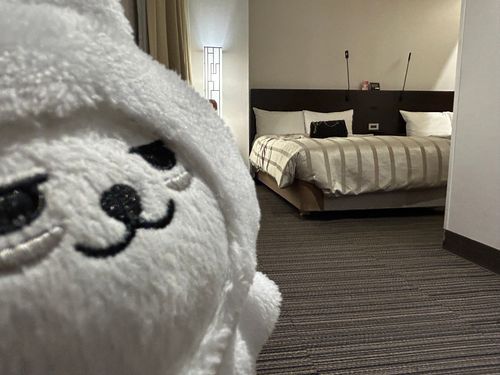 僕の今日泊まるホテルです！ベット大きいでしょ〜！独り占め！