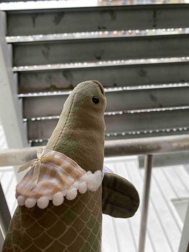 やめてください。
