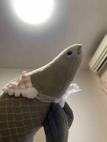 うあー