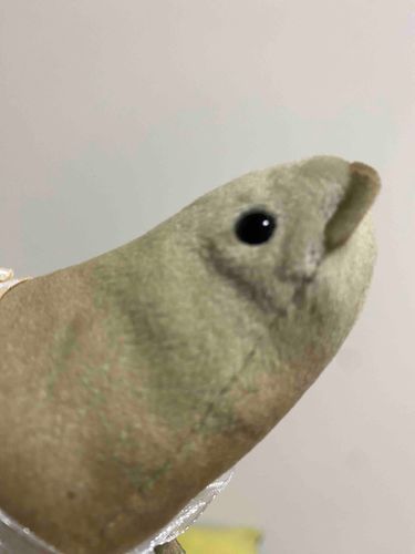 うあー
