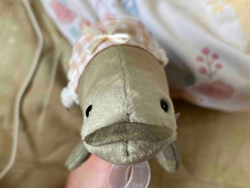 うあー