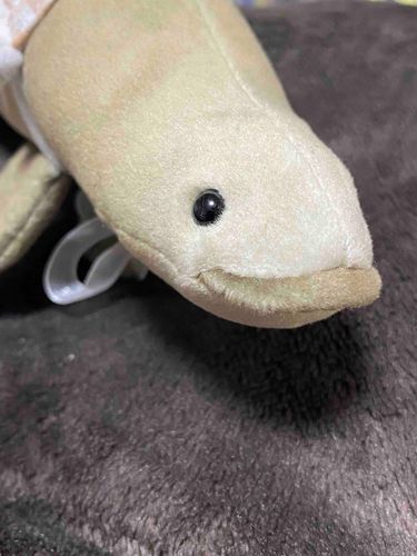 うあー