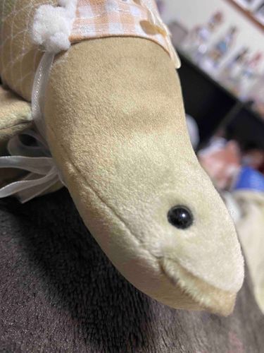 うあー