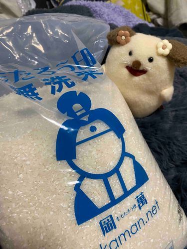 あれ！サンタさんからお米来たね。
ここちゃん、お米たべるかい？