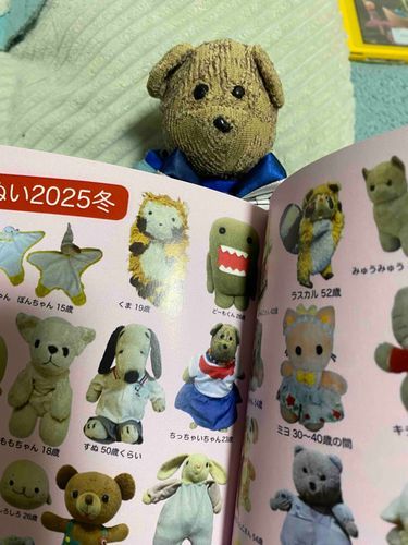 みんな〜！雑誌の「ぬいぬい」にぼくが載ったよ！
よければみんなも手に入れてね☆