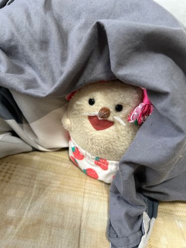 まるちゃん、かくれんぼ？