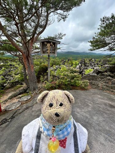 「鬼押出し園」ってところだよ！
岩がごろごろあるね🪨