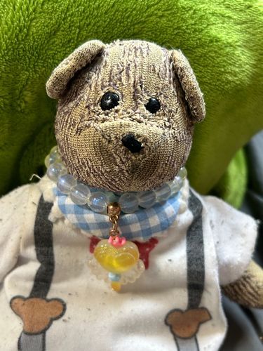 みんな〜！お知らせ！
ぼくがまた雑誌の「ぬいぬい」に載るよ！
Xやってる人いたら、ラマダさんって人の投稿見てみてね〜！
