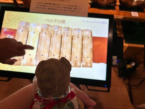 僕も弾ける？