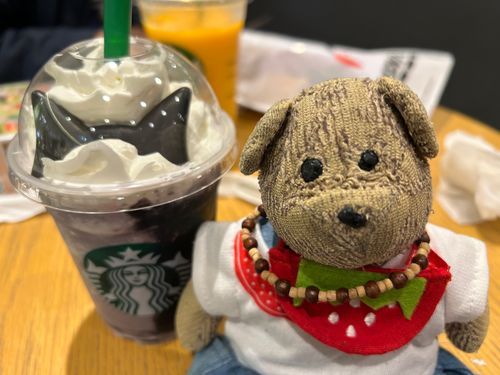 スタバだよ
ぼくも大人の仲間入りだね。