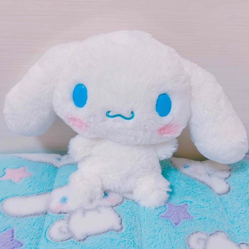 これははじめておうちにきたころのまろだよ

