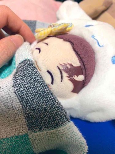 おやすみなさい(っ◜◡◝ c)
