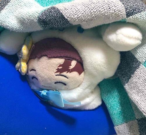 ねおきのおれですぬくぬく…
(っ◜◡◝ c)