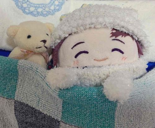 おやすみなさい(っ◜◡◝ c)