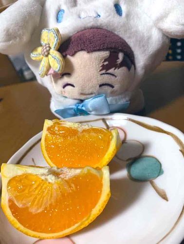 きよみおれんじおいしおいし！
(っ◜◡◝ c)
