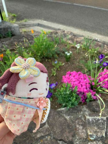 あったかくなるときれいなおはながふえますね(っ◜◡◝ c)