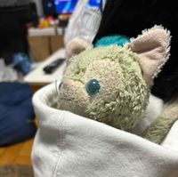だいちけ