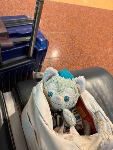 もうすぐ飛行機に乗って帰るにょ✈️