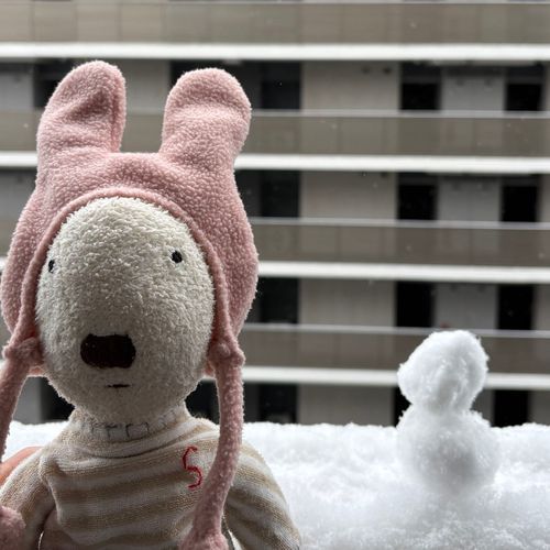 雪だるま作った！