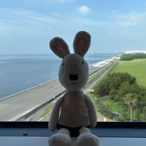 オーシャンビューだった！