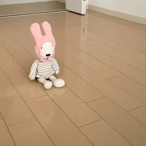 引っ越し手伝った！