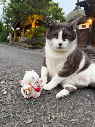 トムとジェリーごっこ🐱🐭
