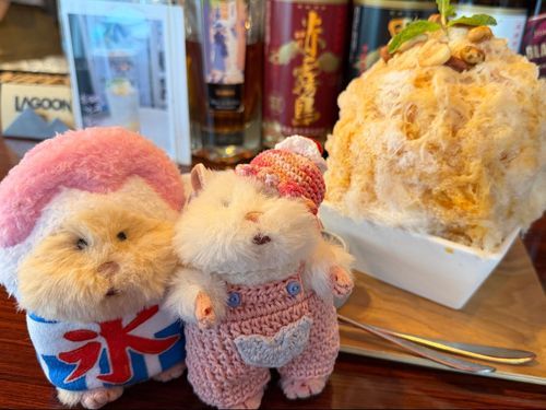 あれ、文夫くん急にかき氷になってたはむ🐹