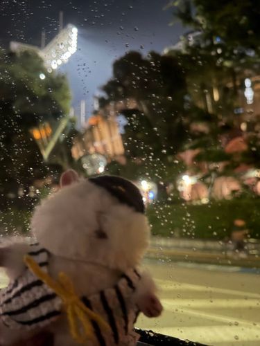 野球見に行ったはむ‪🐹雨に降られたよ……