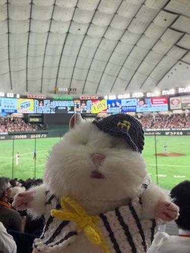 とらほ〜🐯はむはむ！