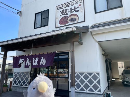 ミケやで！
この1枚が、オイラの初登場シーンなんや✨
(このときの旅行で、家族になったミケ)