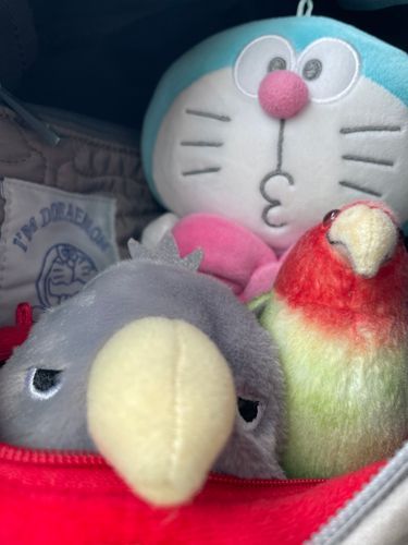 ちょっと、ミケ！
前に出すぎでし！！
(おかぁのカバンの中)