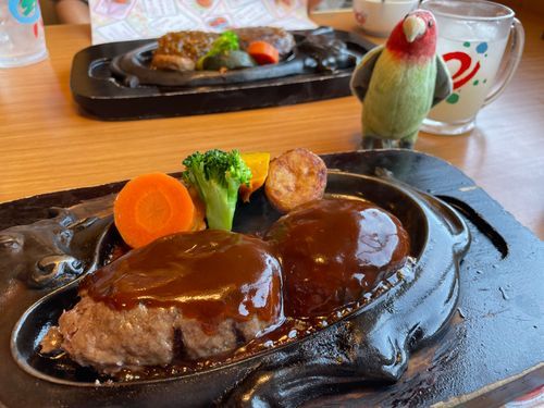 このとき、あたちの自慢のくちばしが、ソースにダイブちて、かぁちゃん慌ててたな😌
しばらくハンバーグ臭とれなかったでし💢