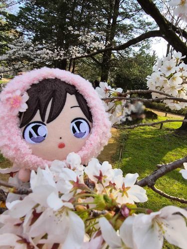 お花見、行ったね