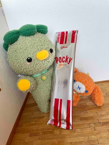 ポッキーの日を たっせい