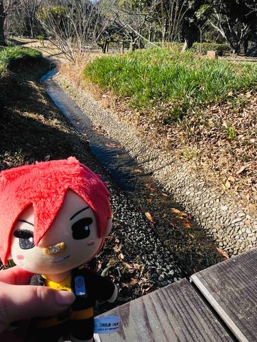 綺麗な水だね〜(*^ω^*)
水音がとっても癒される(*´꒳`*)✨