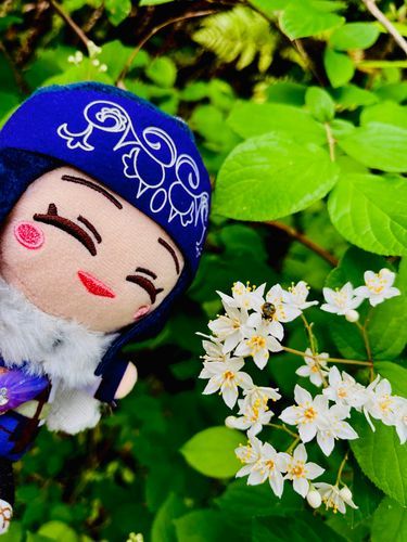 リパさん！
お花に虫さんとまってるよ(*≧∀≦*)
