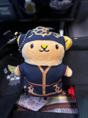 北海道から連れて来たキュンちゃんです🫰