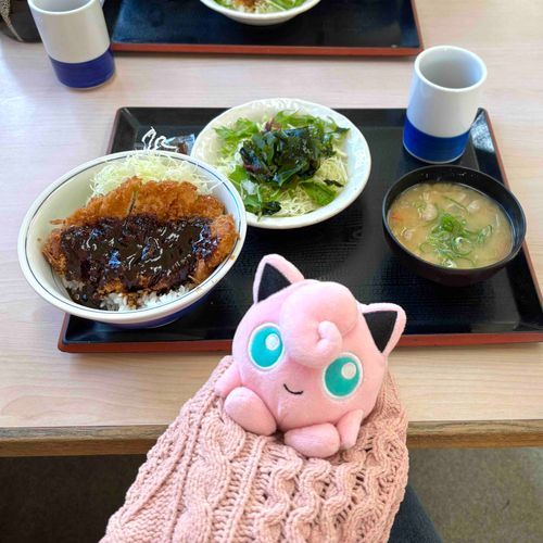 レポート漫画を見て気になっていたかつやに初めて行ったよ！
あまじょっぱいみそカツ丼も豚汁もおいしかった〜！😋