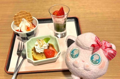 最近シュクルちゃんがいちごスイーツを食べに行ったときのお写真も🍮🍓