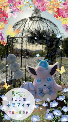 タルトちゃん🌙とドラジェちゃん🐣がネモフィラを見にお出かけ！