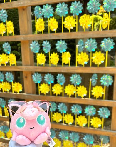 神社に行ったら風車祭りをやっていたよ🌬️🏵️