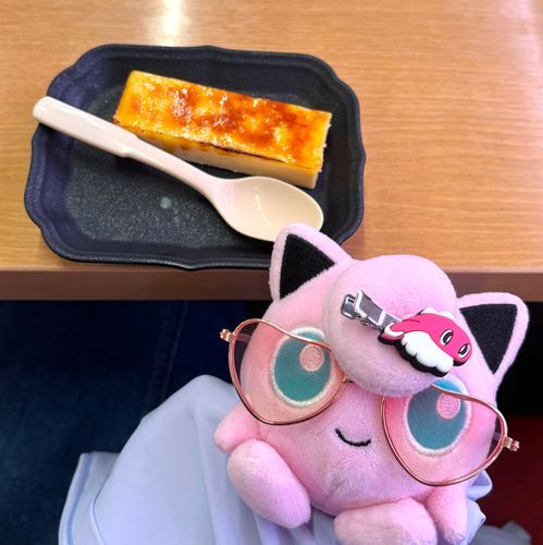 カタラーナアイスブリュレ、ぱりぱりひんやりでおいしい❕🍮🍨