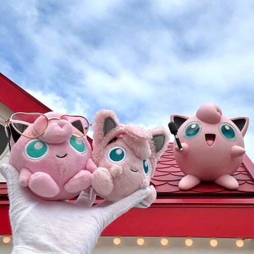 念願の……❣️
ポケパーク カントーに行ってきたよ〜‼️🎈🎡🎢🎠