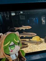 すいてん