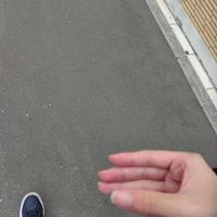 まだいないプリンセスヴィオラぬい