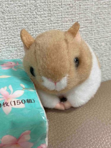 🐹
