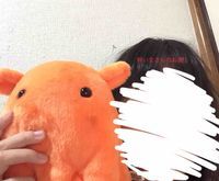 もこめん💖と仲間たち